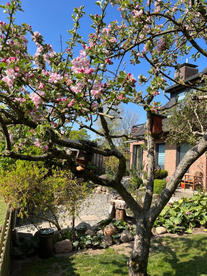 Elb Nest Gaestehaus Neu Darchau エクステリア 写真