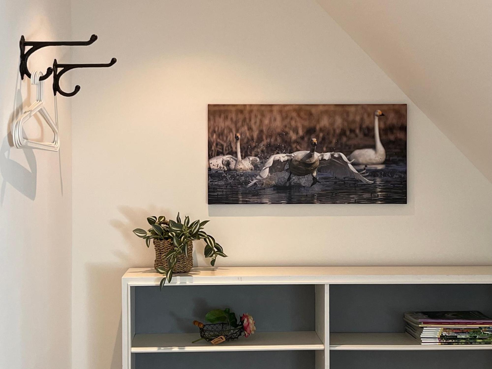 Elb Nest Gaestehaus Neu Darchau エクステリア 写真