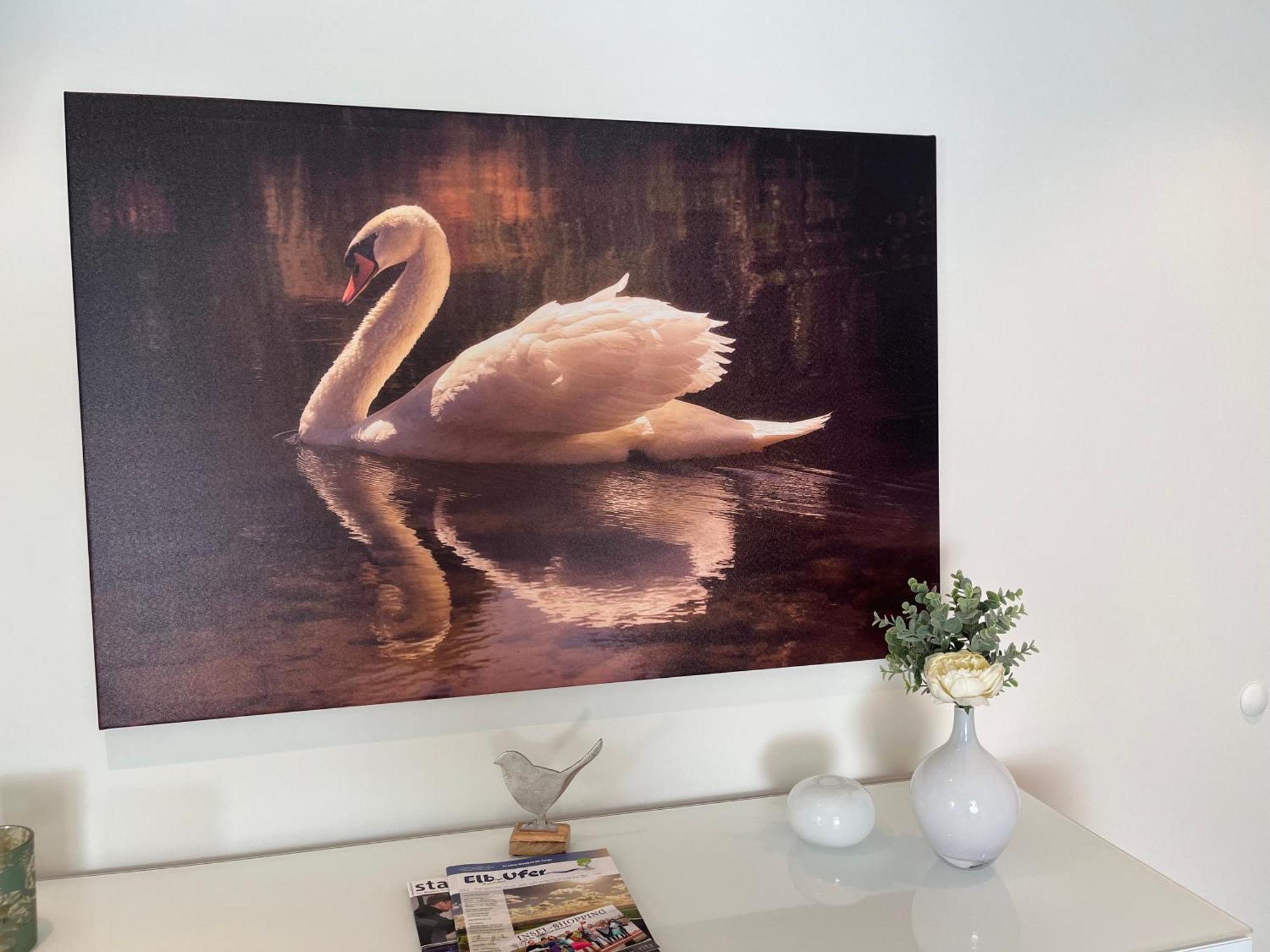 Elb Nest Gaestehaus Neu Darchau エクステリア 写真